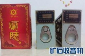 国产精品入,匠心独运，引领时代潮流的青春成长记